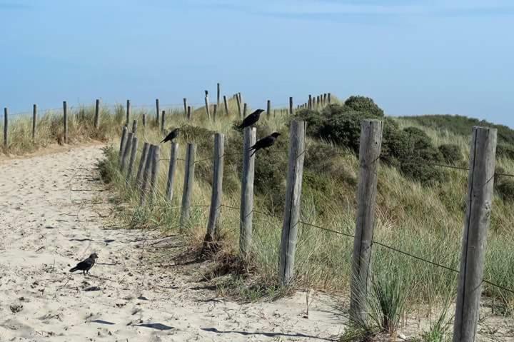Me Oissie Βίλα Egmond aan Zee Εξωτερικό φωτογραφία